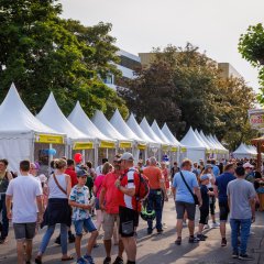 Link öffnet seitenüberlagerndes Dialog-Fenster