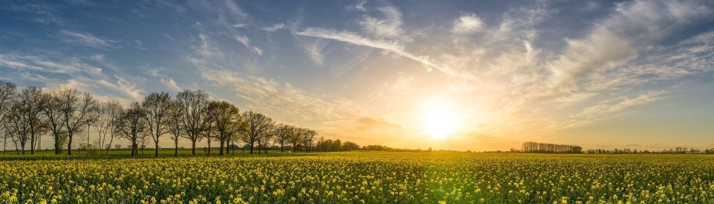 Flächennutzungsplan